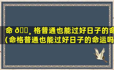 命 🌸 格普通也能过好日子的命（命格普通也能过好日子的命运吗）